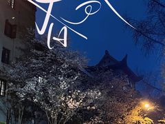 -武汉大学-樱园
