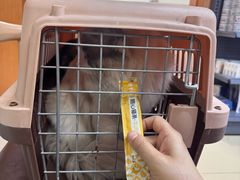 -宠福鑫动物医院(城北分院)