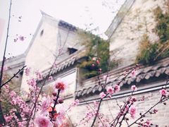 -回龙窝历史文化街区