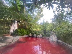 -麦积山温泉