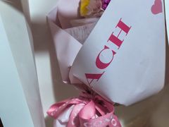 -COACH蔻驰(星光68广场店)