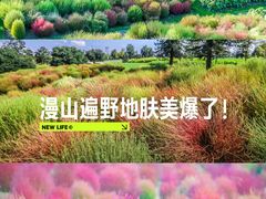 -上海辰山植物园