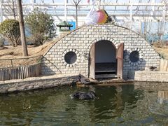 -南宫五洲植物乐园