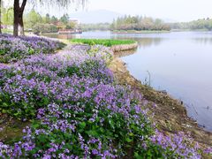 -江南大学(蠡湖校区)