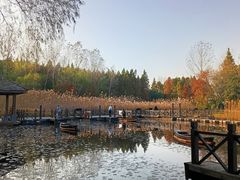 -溱湖国家湿地公园