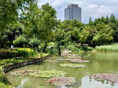 -新虹桥中心花园