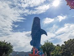 -珠海长隆海洋王国