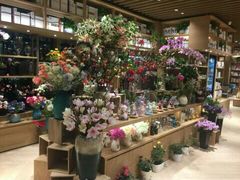 -G·SPACE(金鹰世界店)