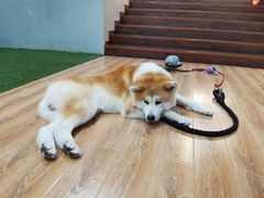 -YCHL Studios健身工作室(市二宫店)