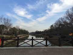 -上海海湾国家森林公园