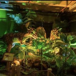 -恐龙探索乐园(磁器口店)