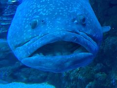 -成都浩海立方海洋公园
