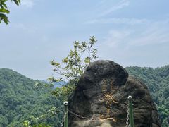 -南山植物园