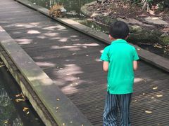 -新加坡飞禽公园