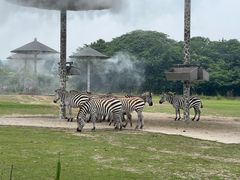 -宁波野生动物园