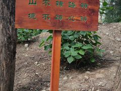 -寂照庵