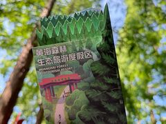 -黄海国家森林公园