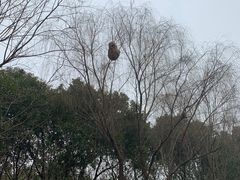 -同里国家湿地公园