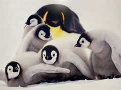 -罗红摄影艺术馆