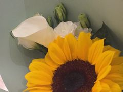 -BOBLOOM花店(宝龙旭辉广场店)