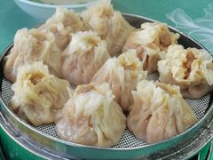 羊肉烧麦-北三沙家烧麦(北头道街店)