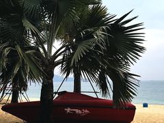 -大梅沙海滨公园