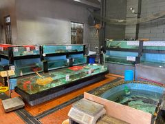 水产区-优之名鹅城