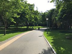 -金花茶公园