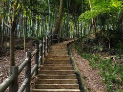 -上海佘山国家森林公园天马山园