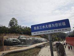 -三水森林公园