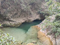 -南海湾森林生态园