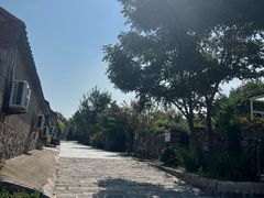 -大连蚂蚁岛度假区