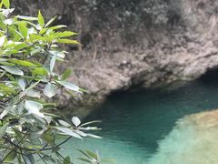 -南海湾森林生态园