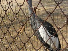 -祥源·阜阳生态乐园