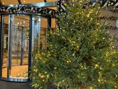 -上海锦江汤臣洲际大酒店壹阶层