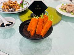 -丁老爷子苏香圆
