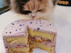 -皇子烘焙手作 prince baking(天河店)