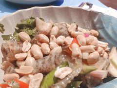 凉拌香脆鱼皮-千岛蚝高压锅生蚝·人参火锅(白云万达店)