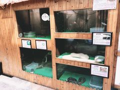 -上海大自然野生昆虫馆(东方明珠·爬宠昆虫探索中心)