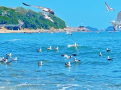 -银沙滩浴场