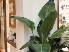 -Line 咖啡(石厦花园店)