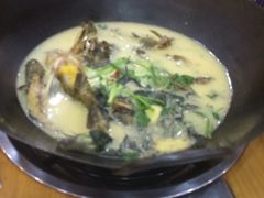 -岩泊渡桂鱼楼活鱼馆