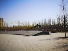 -永定河休闲森林公园