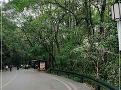 -岳麓山风景名胜区