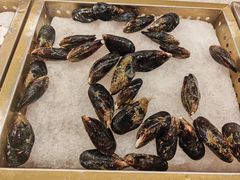-名羊天下·火锅烧烤自助料理(镇明路店)
