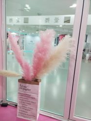 -WITCH （舞季）舞蹈工作室