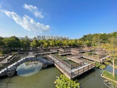-五缘湾湿地公园
