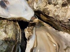 -烧蠔帮·生蚝海鲜牌档(观海店)