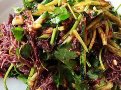 -那琴半岛地质海洋公园