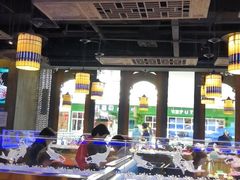 大堂-川人百味·水煮活鱼(赛罕万达店)